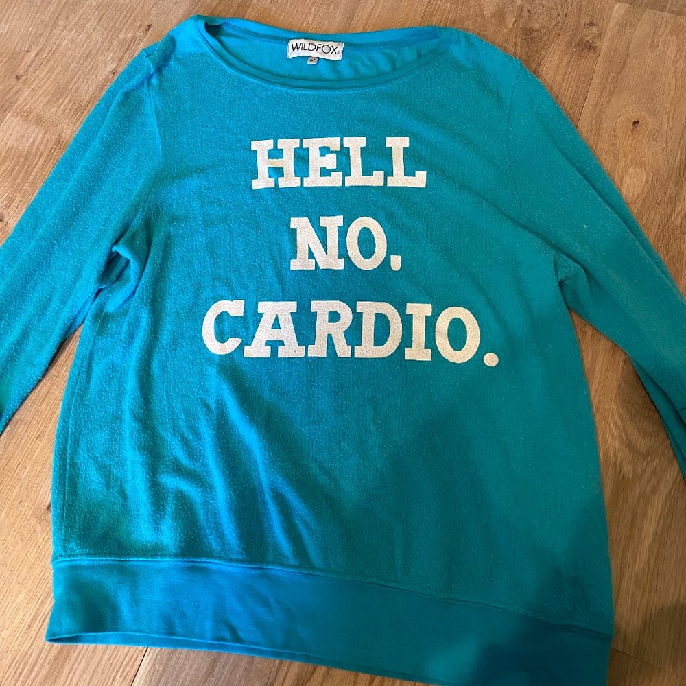 Wildfox Sweater